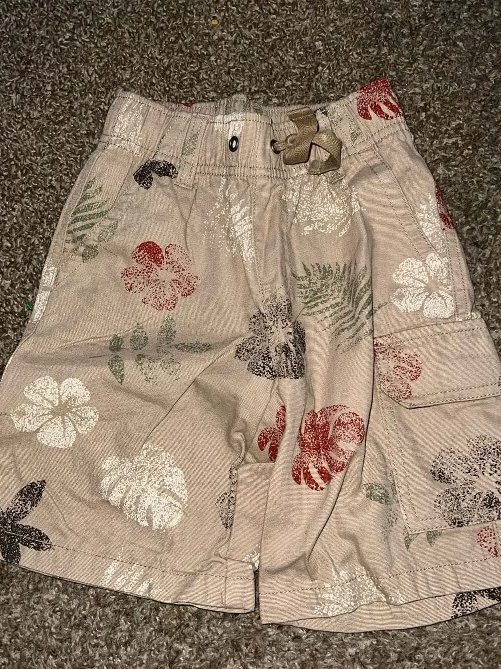 Gymboree Toddler Boy Assorted Shorts Bundle (3 Pairs)